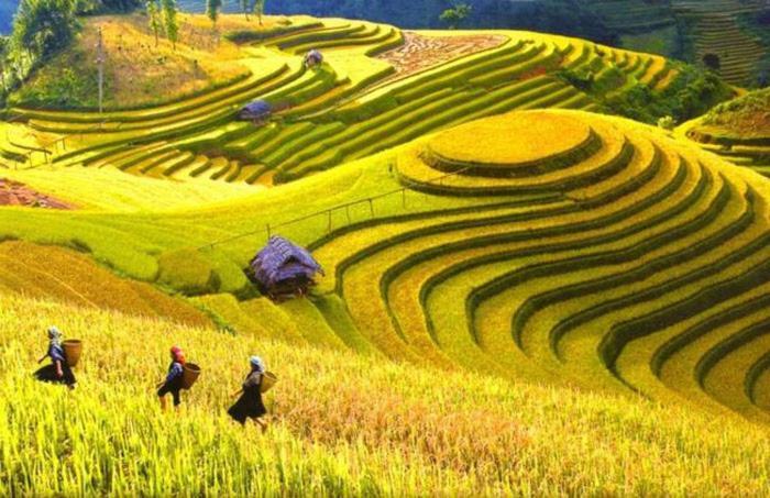 Hong Minh Guesthouse Mu Cang Chai Exterior foto